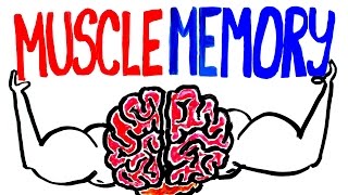 Muscle Memory Explained [upl. by Ocire]