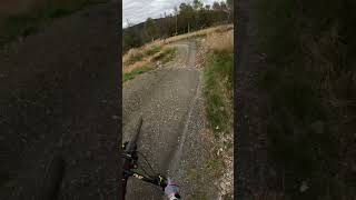 Smells Like Tweed Spirit Glentress MTB Trail Part 1 [upl. by Greeson]