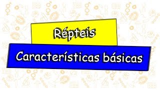 Répteis características básicas [upl. by Eelrahs759]