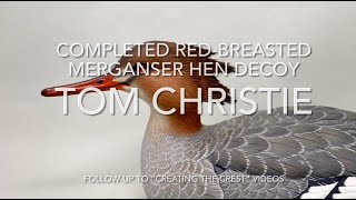 Completed Red Breasted Merganser Hen [upl. by Thorndike]