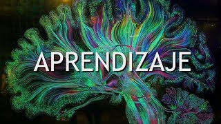 ¿Qué es el Aprendizaje Supervisado y No Supervisado  DotCSV [upl. by Mathe]