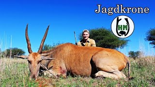 Namibia Jagdreise  Hunting Abenteuer in der Wildnis 2018  Jagdkrone [upl. by Post]