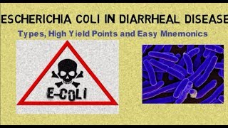 Escherichia coli E coli in Diarrheal Disease Types High Yield Points amp Mnemonics [upl. by Carson]