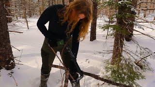 Winter Bushcraft Campfire [upl. by Amle]