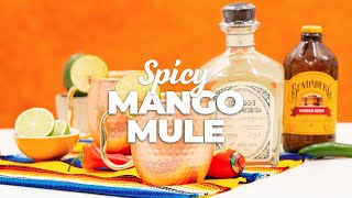 Spicy Mango Mule 🥭  Tequila Cocktail [upl. by Lupita]