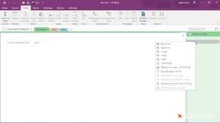 Apprenez à créer et organiser un bloc note  Tuto Microsoft OneNote 2016 [upl. by Isla276]