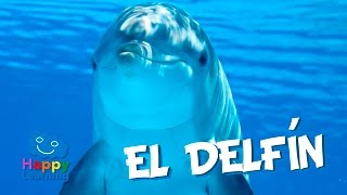 El Delfín  Videos Educativos para Niños [upl. by Brietta]