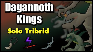 Dagannoth Kings Boss Guide  Solo Tribrid [upl. by Eelrefinnej]