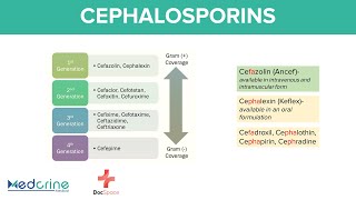 Cephalosporins Pharmacology 1st to 5th Generations Mnemonics Indications and Adverse effects [upl. by Armmat]