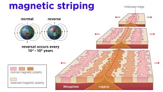 The Development of Plate Tectonics [upl. by Juetta]