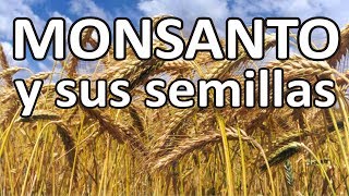 Monsanto y sus semillas [upl. by Iams754]