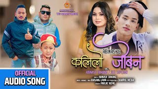 Latest Tamang Song II KALILO JOBAN II Abinash Tamang amp Jitu Lopchan II Karshang Lama 2023 [upl. by Moonier]