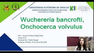 32 Wuchereria bancrofti y Onchocerca volvulus [upl. by Eustache]