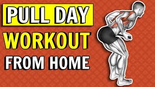 Home Back amp Biceps Workout No Equipment Pull Day Workout Without Equipment [upl. by Turne]