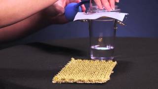 DuPont™ Tyvek® Breathability Demonstration [upl. by Cofsky877]