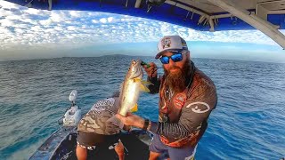 Reef Fishing Around Tropical Islands in North Queensland [upl. by Blackstock]