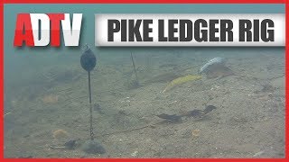 AD QuickBite  How To Tie A Deadbait Ledger Rig For Pike [upl. by Anitsej656]