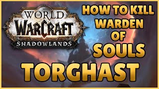 How To Kill Warden of Souls Torghast  World of Warcraft Shadowlands [upl. by Ahsineg]