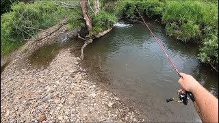 Catching Monster PA Wild Brown Trout in tiny Streams 26 inch trout mepps streamer fishing [upl. by Mcgurn945]