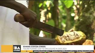 GHANA COCOA CRISIS 160000 TONNES LOST TO SMUGGLING IN 2023 2024 [upl. by Nicholl]