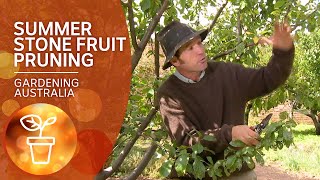 How to prune stone fruit trees in summer [upl. by Ayerim]