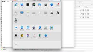 How to flip screen in mac rotate screen display in mac [upl. by Eicyak736]