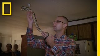 How to Survive a Rattlesnake Bite  National Geographic [upl. by Dolley]