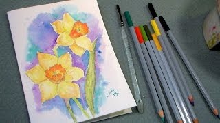 daffodil watercolor pencil tutorial [upl. by Leahkim]