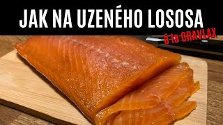 JAK NA UZENÉHO LOSOSA á la GRAVLAX  Uzení studeným kouřem  Z UDÍRNY 23 [upl. by Ecilef359]