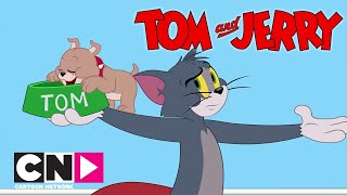 TOM VE JERRY  Bakıcı Tom  Cartoon Network Türkiye [upl. by Hazel172]