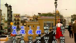 鑽石金曲  淚的小花 KTV [upl. by Mattox937]