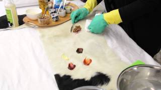 How to Clean a Cowhide Rug 2024  Cowhide Cleaner Demo by Gorgeous Creatures [upl. by Neema150]