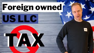 Can a Foreign Owner of a US LLC pay ZERO US Tax [upl. by Eidnac]