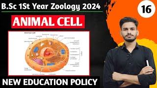 bsc 1st year zoology chapter 1  discovery of cell and cell theory bsc 1st year  zoology class 1 [upl. by Kcireddor]