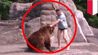 Man v Bear Polish man punches bear in the head at Warsaw zoo  TomoNews [upl. by Sallyanne]