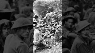 Australias WWII Campaign in Papua [upl. by Attirb]