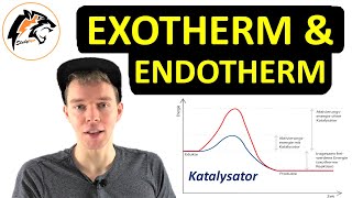 Exotherme amp Endotherme Reaktionen  Energiediagramme erklärt [upl. by Evangelist]