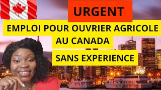 EMPLOI POUR OUVRIER AGRICOLE AU CANADA SANS EXPÉRIENCE canada emploi [upl. by Fazeli]