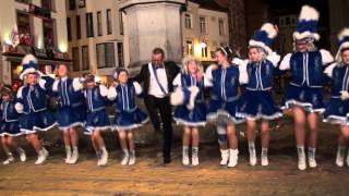 Carnaval Halle 2014 Dansmariekes met Dirk [upl. by Hillell]