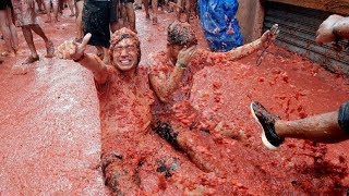 Live  Thousands take part in Spains La Tomatina Festival [upl. by Nikki]