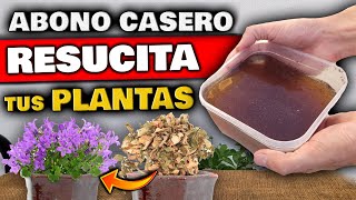 REVIVE PLANTAS ENFERMAS o SECAS  Aplica ESTO para CURAR tu PLANTA  Fertilizante Casero Natural [upl. by Elletnwahs705]