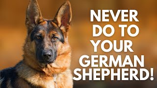 5 Things You Must Never Do to Your German Shepherd [upl. by Ciaphus198]