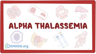 Alphathalassemia  an Osmosis Preview [upl. by Nalliuq]