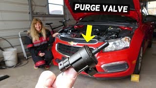 CHEVROLET CRUZE SONIC PURGE VALVE REPLACEMENT REMOVAL LOCATION CHEVY PURGE VALVE [upl. by Tselec]