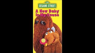 Sesame Street A New Baby In My House TV [upl. by Quillan46]