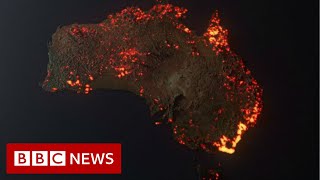 Australia fires Misleading maps and pictures go viral  BBC News [upl. by Eceinehs265]