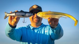 How To Catch The Biggest Bass In Your Lake  Full Seminar [upl. by Sherard]