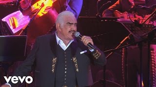 Vicente Fernández  La Diferencia LetraLyrics [upl. by Xela889]