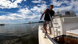 Patuxent River Maryland Blue Crabbing [upl. by Solita]