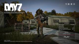 2023 BEST DAYZ SETTINGS FOR PERFORMANCE AND PVP [upl. by Shelagh]